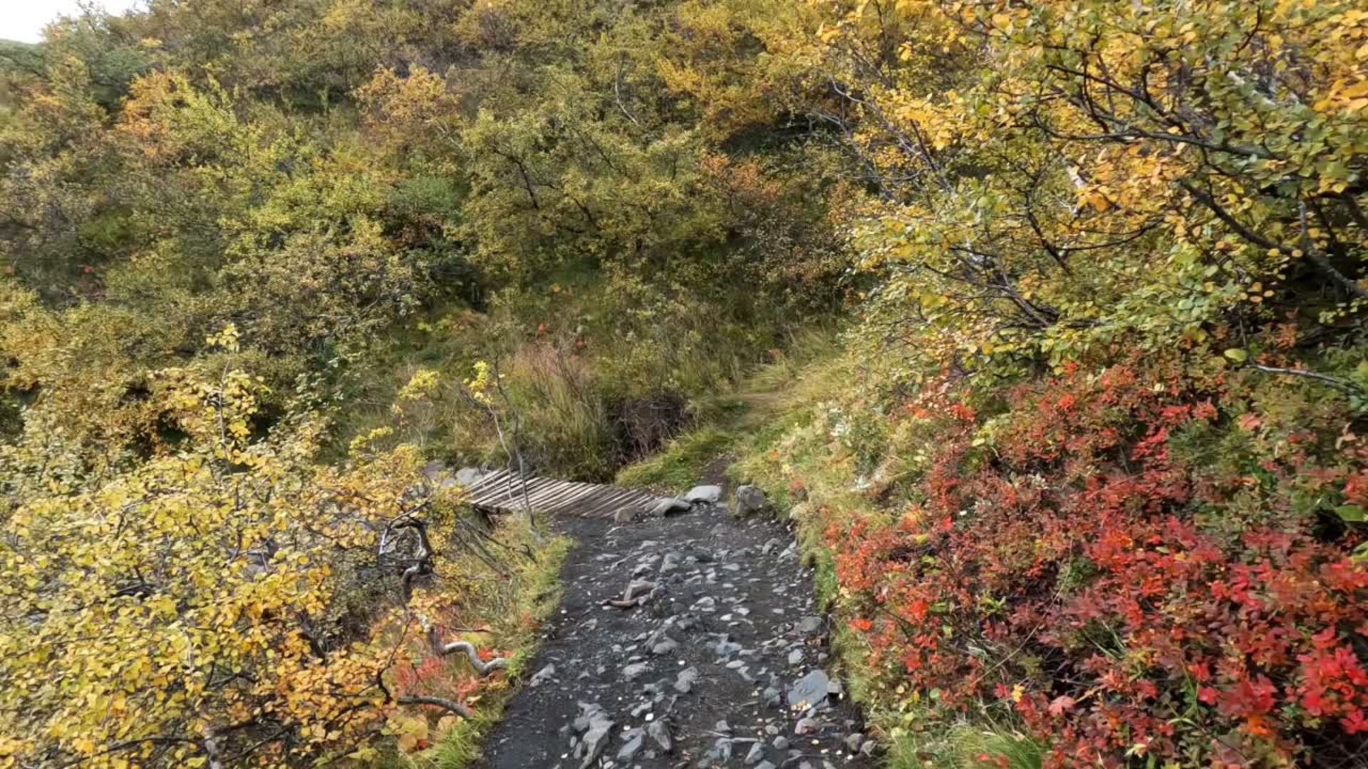 Discesa verso Svartifoss, tratto finale del sentiero